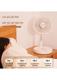 product-img-7