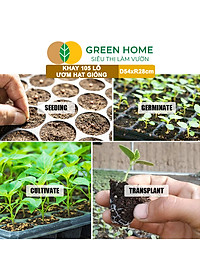 Khay Ươm Hạt Giống Greenhome, 105 Lỗ, Thoáng Rễ, Nảy Mầm Cao, Tiết Kiệm Diện Tích Ươm, Độ Bền Cao