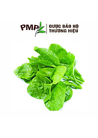 Hạt Giống Rau Mồng Tơi PMP 10g
