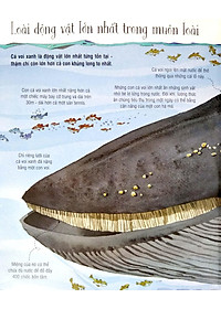 Sách Tương Tác - Big book - Cuốn sách khổng lồ về các loài động vật khổng lồ