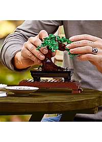 Đồ Chơi Lắp Ráp LEGO CREATOR Cây Bonsai 10281