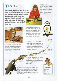 Sách Bách Khoa Động Vật Cho Trẻ Em