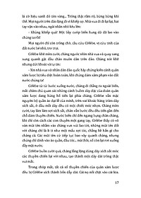 product-img-15