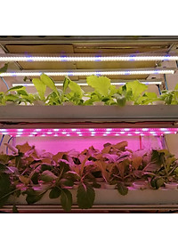 Đèn LED Trồng Cây, Đèn Quang Hợp Trồng Rau, Hoa và Cây Cảnh Trong Nhà, Đảm Bảo - Hàng chính hãng