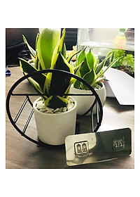 Kệ Treo Trang Trí Hình Bán Nguyệt Dán Tường Tiện Dụng ,Giá Treo Chậu Hoa Ban Công Phòng Khách- Phong Cách Hiện Đại- Chính Hãng MINIIN