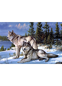 Bộ tranh xếp hình 330 mảnh – Đôi Bạn Mùa Đông (30x44cm)