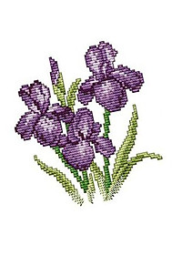 product-img-6