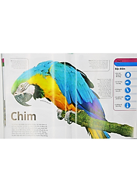 Sách Động Vật - Bách Khoa Thư Hình Ảnh Về Các Loài Vật Trên Trái Đất