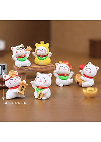 product-img-6