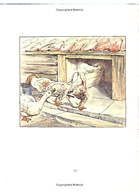 product-img-4