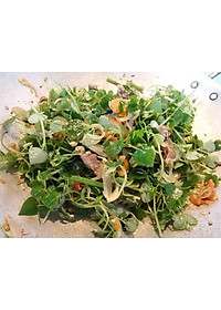 PN - Hạt Giống Rau Càng Cua Dễ Trồng - Trồng Rau Xanh Rau Sạch Organic Bằng Đất Sạch, Mùn Dừa Và Phân Bón Hữu Cơ