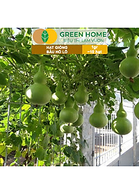 Hạt Giống Bầu Hồ Lô Greenhome, Gói 1g, Dễ Trồng Quanh Năm, Nảy Mầm Cao, Thu Hoạch Nhanh, Năng Suất Cao T11