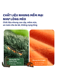 product-img-6
