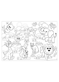 product-img-5