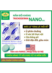 1 viên Phân bón vi sinh NANO-GRO. Chứa hàng tỷ bào tử vi nấm đối kháng trichoderma bacillus