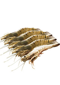 product-img-8