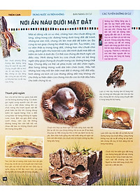 Sách Di Chuyển Và Di Cư