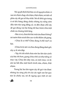 product-img-10