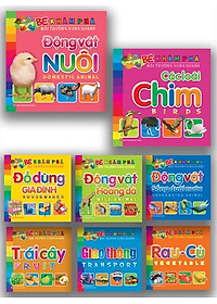 Sách: Combo Sách Bé Khám Phá Môi Trường Xung Quanh - Trọn Bộ