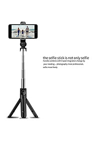 product-img-12