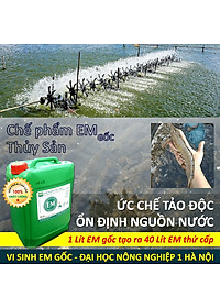 Chế phẩm sinh học EM gốc (EM1). Men vi sinh Đại Học Nông Nghiệp 1 Hà Nội. Chứa hàng tỷ bào tử hữu hiệu. Từ 1 lít EM gốc sản xuất ra 40 lít EM thứ cấp. Can 10 lít. HSD: 2 năm