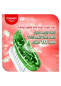 Bộ 3 Kem đánh răng Maxfresh Bamboo Charcoal 225g kèm bàn chải lông tơ phủ than