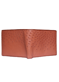  Ví nam da đà điểu da bụng nhiều màu HJ92405-06-07-14-19-32