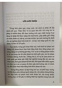 Đồng phạm trong luật hình sự Việt Nam