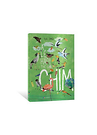 product-img-4