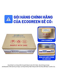 [Hộp 15v] Viên Uống Bổ Mắt WIT Ecogreen Giảm Mỏi Mắt, Tăng Cường Thị Lực Mắt Cho Bé & Người Lớn