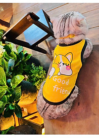product-img-7