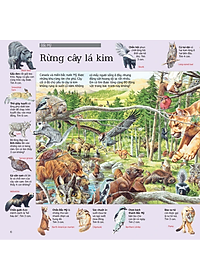 Sách Thử tài tìm kiếm – Động vật