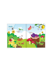 product-img-8