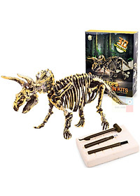 [Có sẵn] Mô hình Khủng Long hóa thạch - truy tìm dấu vết hóa thạch