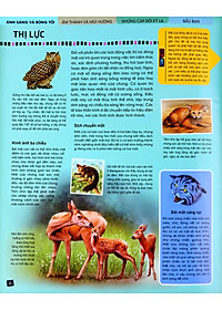 Tủ Sách Thế Giới Động Vật - Giác Quan Và Giao Tiếp (Hình Minh Họa 3D)