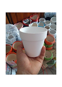 Chậu đất nung nâu chậu đất nung trắng