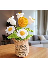 product-img-2