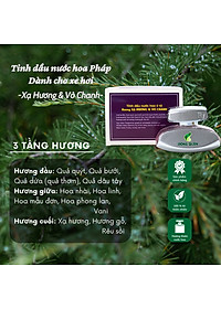 product-img-6