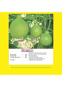 Hạt giống Bầu quả tròn -  bầu Baby F1 giống ngắn ngày kháng bệnh VTP01