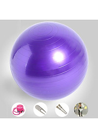Bóng Tập Yoga 65Cm Cao Cấp Chống Nổ (Dày 2mm) - Tặng Kèm Bơm – Kim Bơm Bóng Dự Phòng - Chính Hãng Amalife