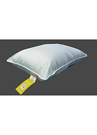 Ruột gối cao cấp 45x65 everon 5S