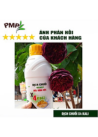 Combo 2 Chai Dịch Chuối Humic PMP Vi Sinh Chuyên Dùng Cho Hoa Hồng, Rau Sạch 1L/Chai