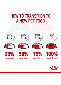 Thức Ăn Cho Mèo Mang Thai Và Mèo Con Royal Canin Mother Anh Babycat