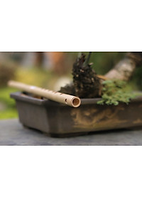 Sáo Ngang VS2 Tone C5 Nứa Bắc - Sáo Trúc Bùi Gia SNVS2C5-B