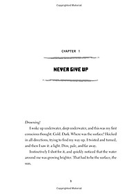 Sách Minecraft : The Island (An Official Minecraft Novel)