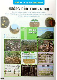 Sách Từ Điển Hình Ảnh Trực Quan: Trong Lòng Đất