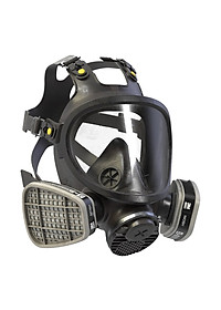 Phin Lọc 3M 6001 Lọc Hơi Hữu Cơ Vi Khuẩn (Chưa Bao Gồm Mặt Nạ)