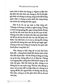 product-img-12