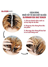 Muối tẩy tế bào chết, làm sạch da đầu Dr.FORHAIR Sea Salt Scaler 300g