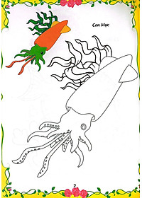 product-img-8
